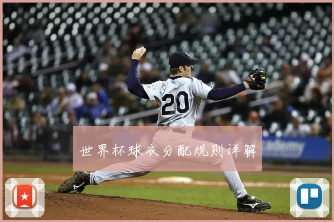 世界杯球衣分配规则详解