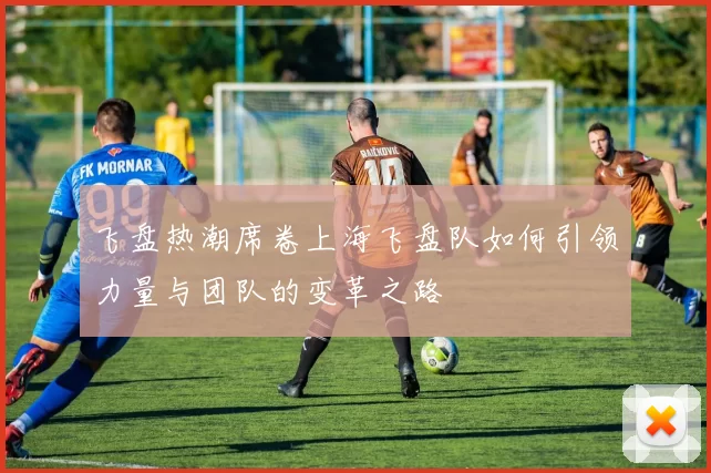 飞盘热潮席卷上海飞盘队如何引领力量与团队的变革之路