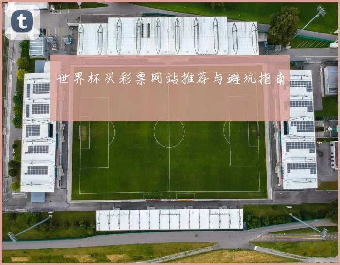 世界杯买彩票网站推荐与避坑指南