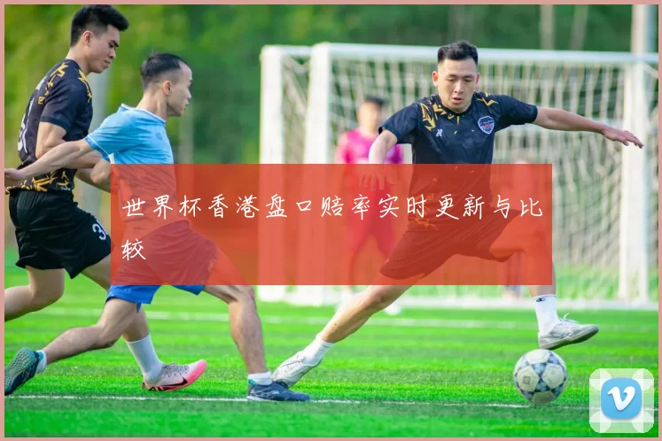 世界杯香港盘口赔率实时更新与比较