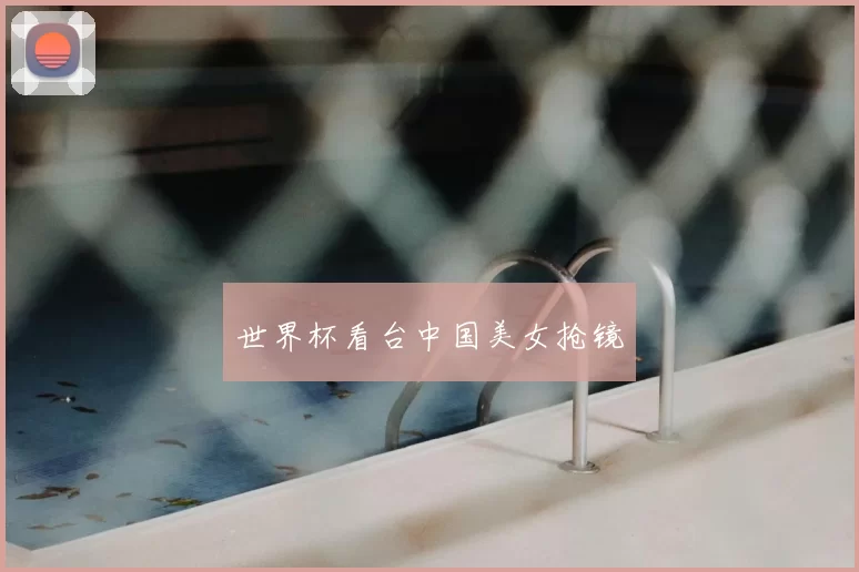 世界杯看台中国美女抢镜
