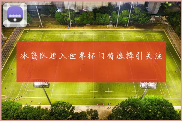 冰岛队进入世界杯门将选择引关注