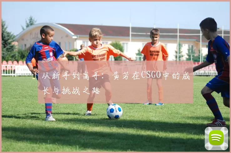 从新手到高手：黄芳在CSGO中的成长与挑战之路