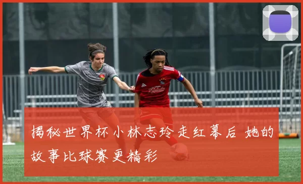 揭秘世界杯小林志玲走红幕后 她的故事比球赛更精彩