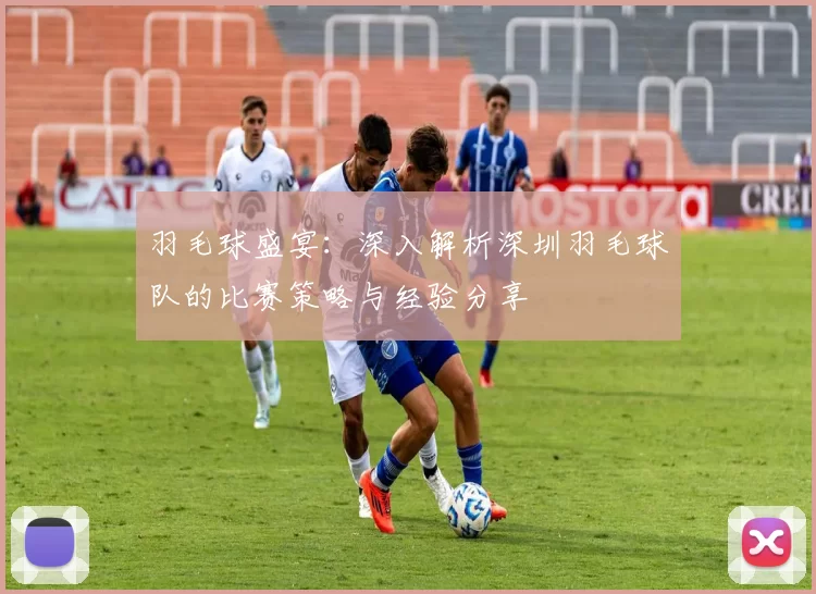 羽毛球盛宴：深入解析深圳羽毛球队的比赛策略与经验分享