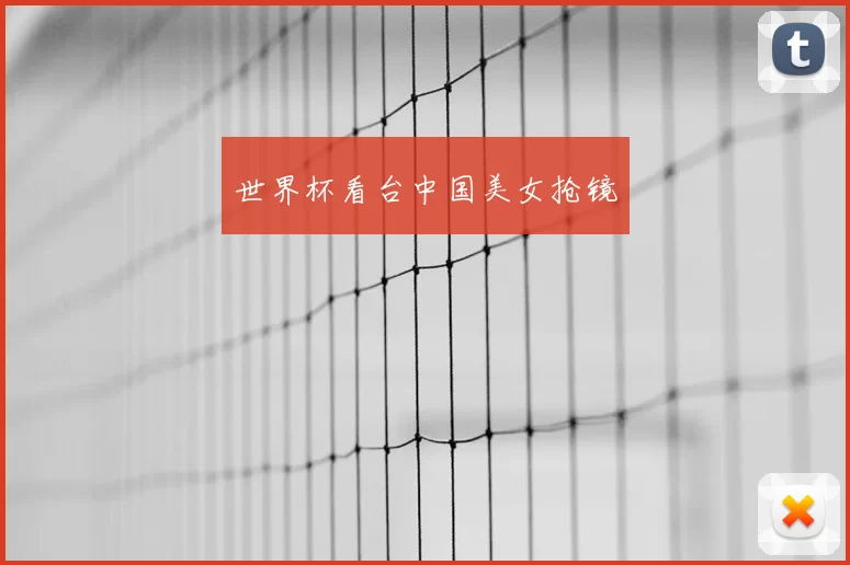 世界杯看台中国美女抢镜