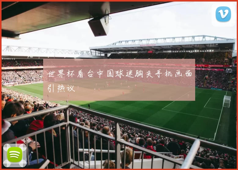 世界杯看台中国球迷胸夹手机画面引热议