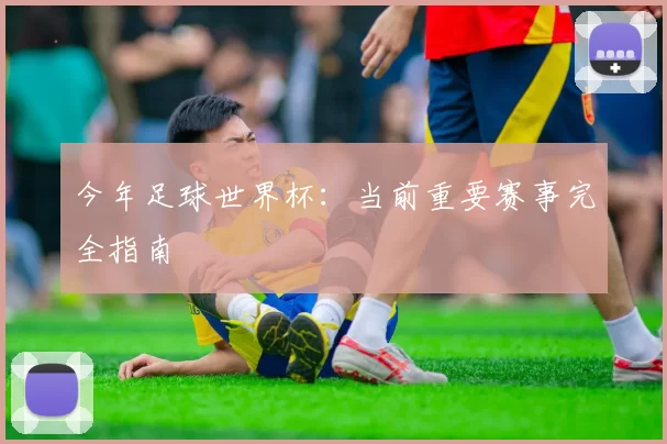 今年足球世界杯：当前重要赛事完全指南